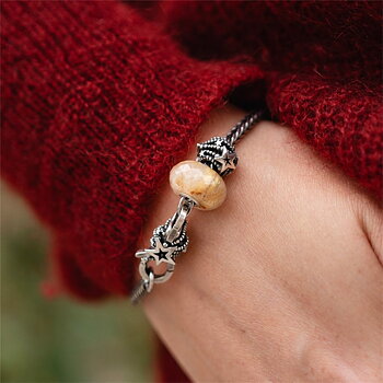 Trollbeads Celestial Wishes armband
