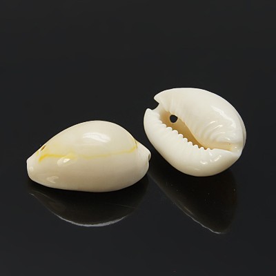 Cowrie snäckor med hål 10st - 2