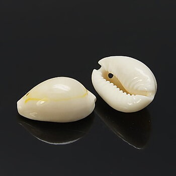 Cowrie snäckor med hål 10st