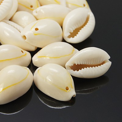 Cowrie snäckor med hål 10st