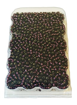 Seedbeads 9/0 silverfoil lila