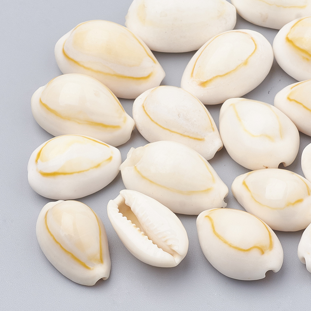 Cowrie snäckor utan hål 10st