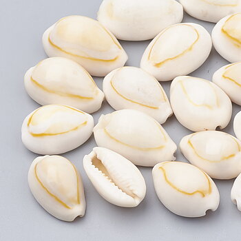 Cowrie snäckor utan hål 10st