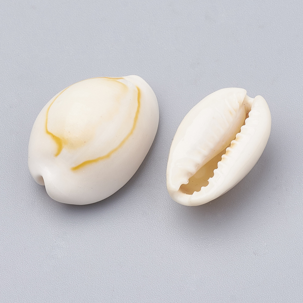 Cowrie snäckor utan hål 10st - 2