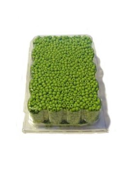 Seedbeads 9/0 opak lime