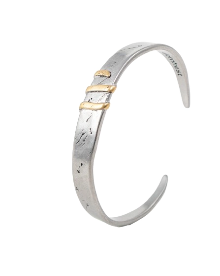 Jernhest - Flats Armband - Oxiderad Silver med Guld band - 5