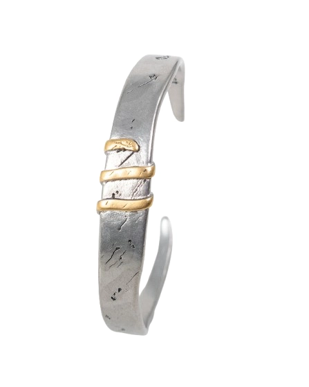 Jernhest - Flats Armband - Oxiderad Silver med Guld band - 4