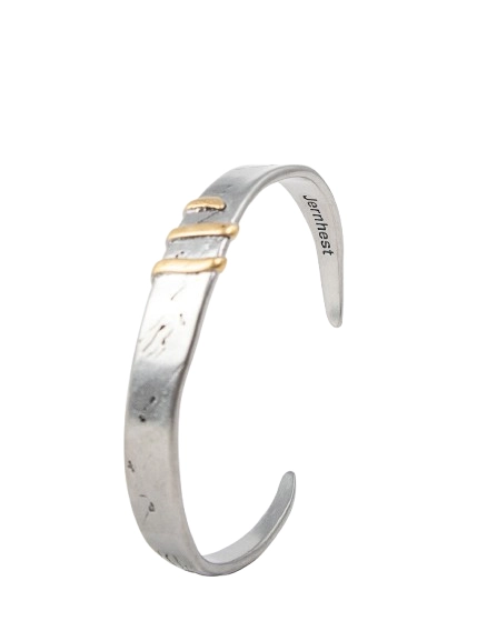 Jernhest - Flats Armband - Oxiderad Silver med Guld band - 7