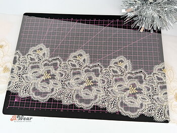 Champagne lace with floral embroidery