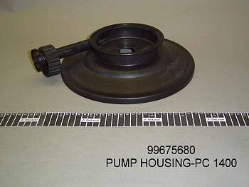 Pumphus