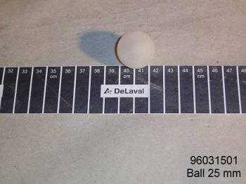 Boll