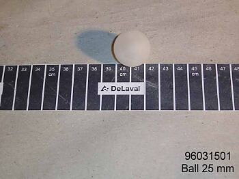 Boll