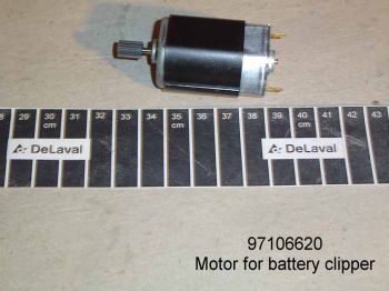 Motor
