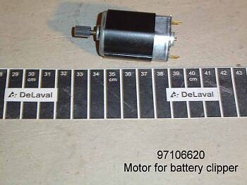 Motor