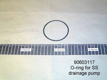 O-Ring