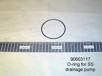 O-Ring