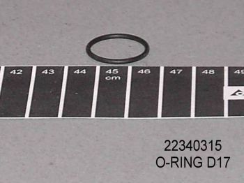O-Ring D=17 Mm