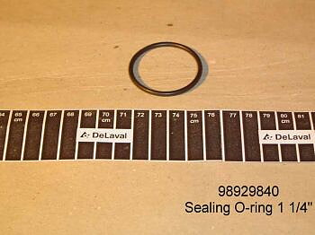 O-Ring 1 1/4"