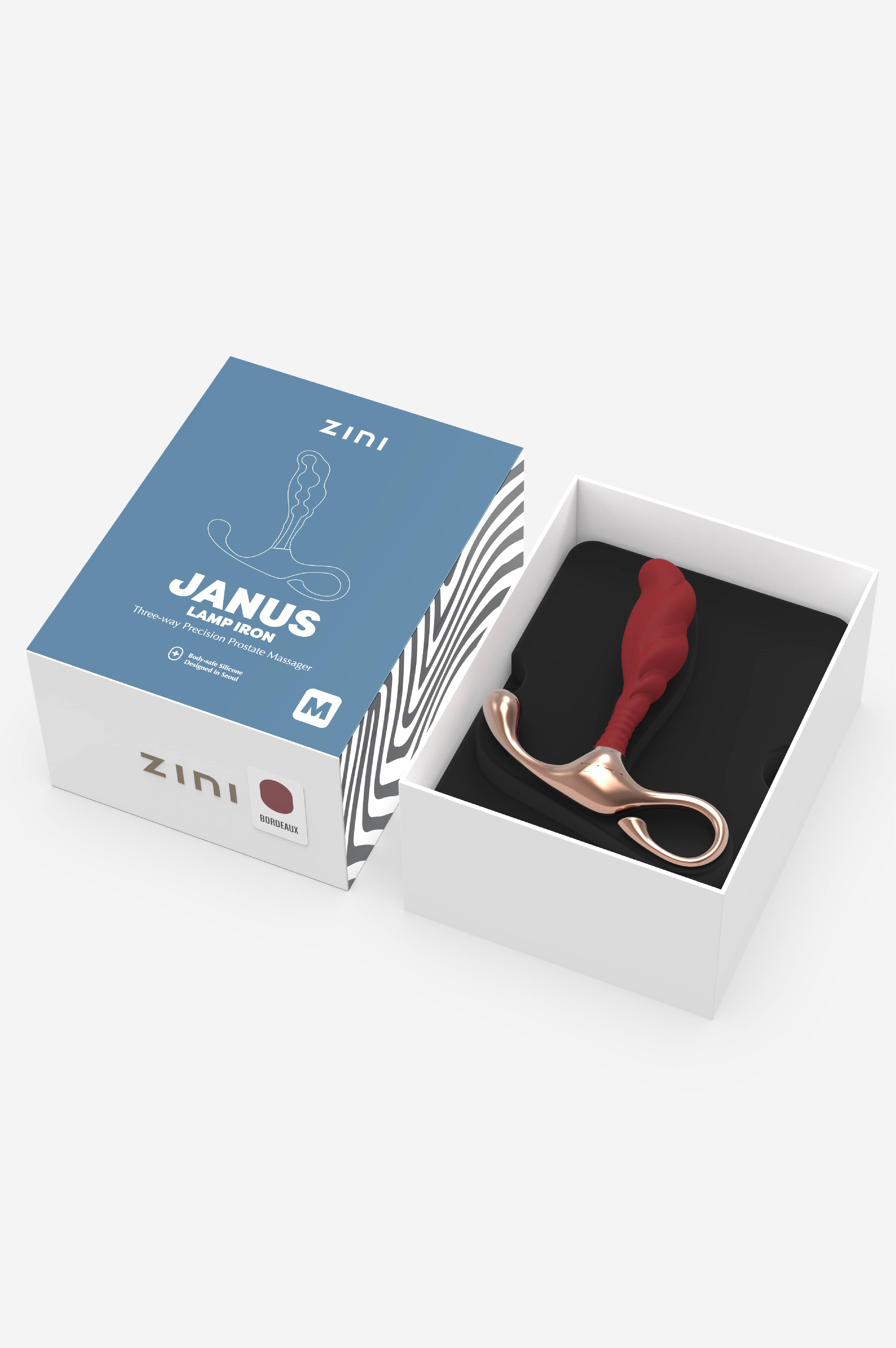 Zini Janus Lamp Iron (M) - 3