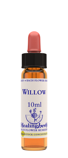 WILLOW - Pil