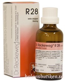 R28  ♥  Dr. Reckeweg 
