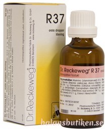 R37  ♥  Dr. Reckeweg 