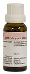 Calcium fluoratum D6 