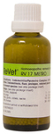 Dr. Reckeweg  - ReVet - RV17