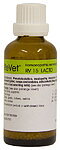 Dr. Reckeweg  - ReVet - RV15
