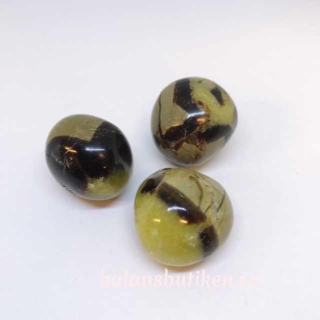 Septarian - Draksten