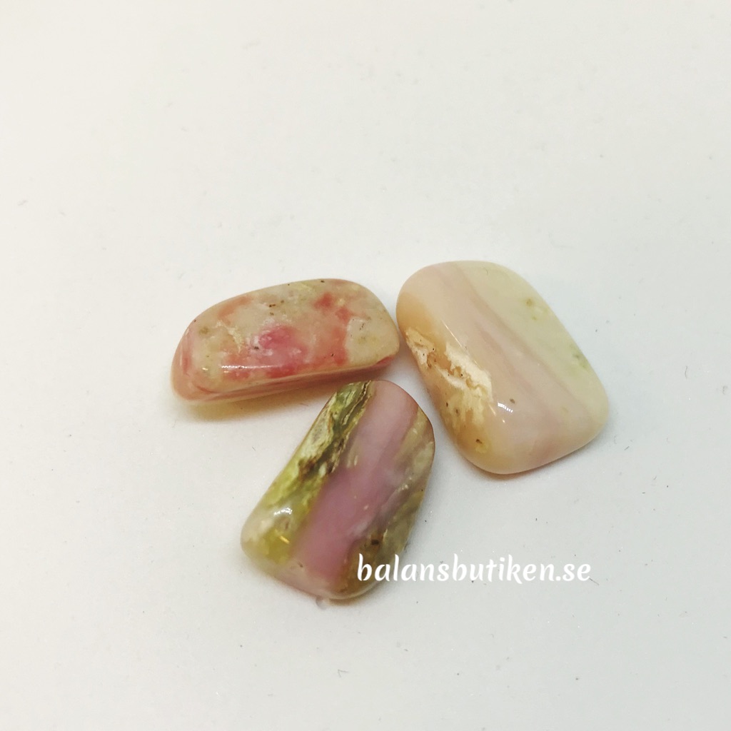 Rosa Opal