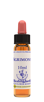 AGRIMONY - Småborre