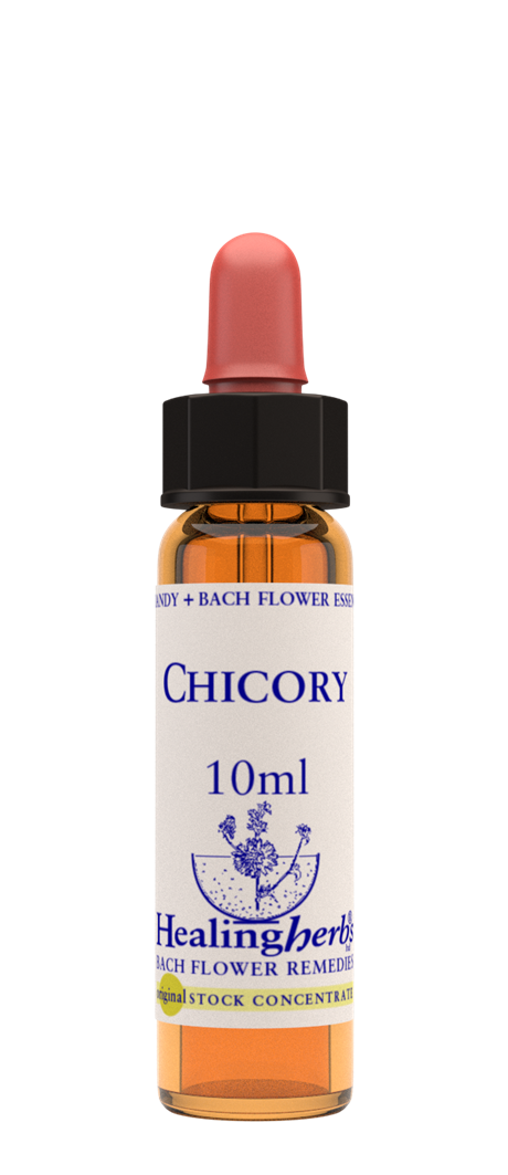 CHICORY - Vägvårda