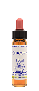 CHICORY - Vägvårda