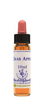 CRAB APPLE - Vildapel