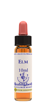 ELM - Alm