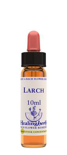 LARCH - Lärk