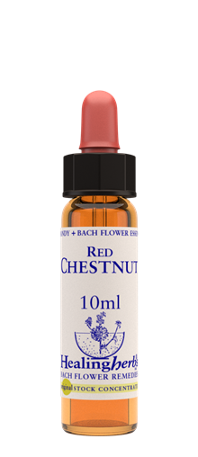 RED CHESTNUT - Häst Kastanj