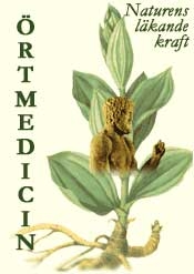 Örtmedicin - Naturens läkande kraft