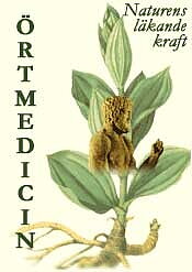 Örtmedicin - Naturens läkande kraft