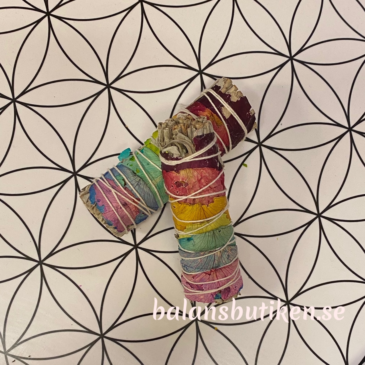 Vit Salvia   •  rak bunt chakra