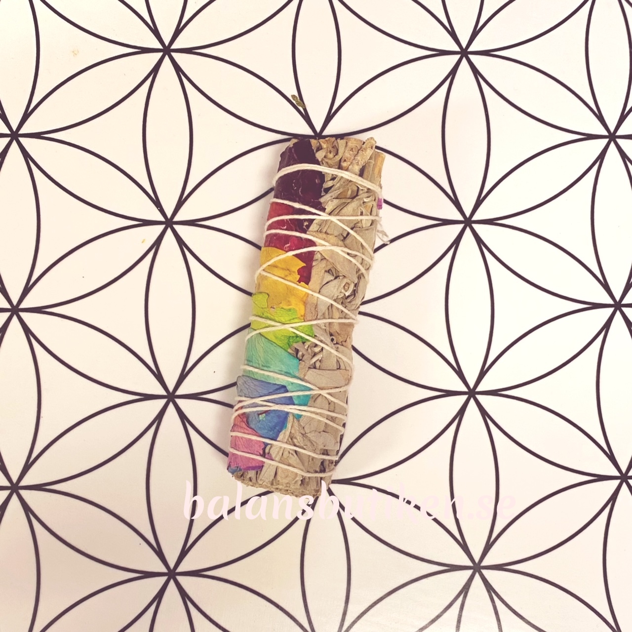 Vit Salvia   •  rak bunt chakra - 2
