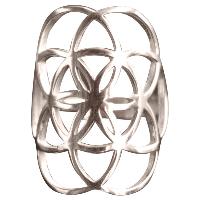 Flower of Life - Seed of life Rhodiumpläterad silverring