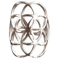 Flower of Life - Seed of life Rhodiumpläterad silverring