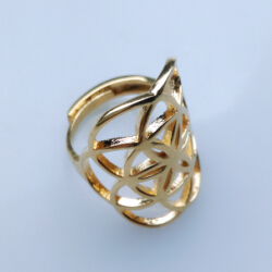 Flower of Life - Seed of life Rhodiumpläterad silverring - 3