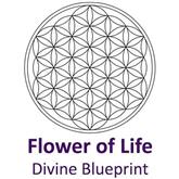 Flower of Life Essence  ★ Crystal Herbs - 2