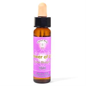 Flower of Life Essence  ★ Crystal Herbs