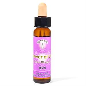 Flower of Life Essence  ★ Crystal Herbs