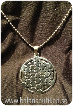 Hängsmycke - Flower of life i stål