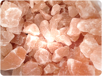 Himalaya - Saltsten 